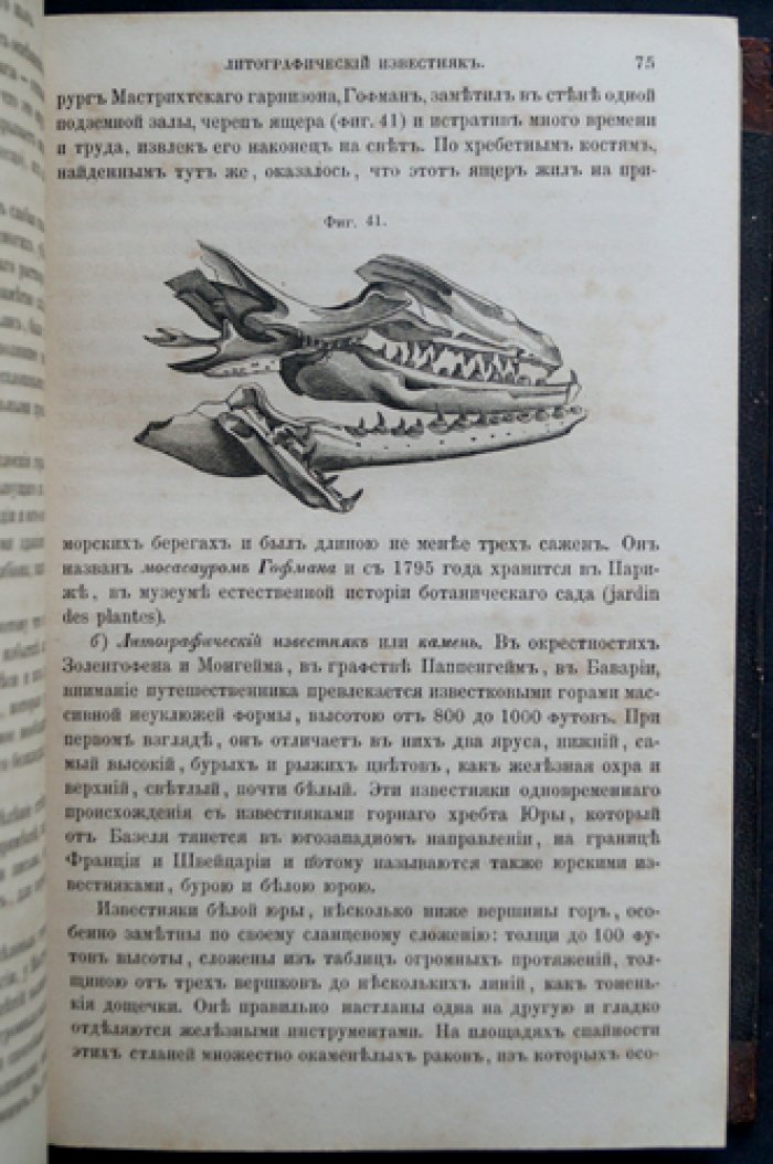 Куторга С. Естественная история земной коры: с иллюстрациями и геологическими картами