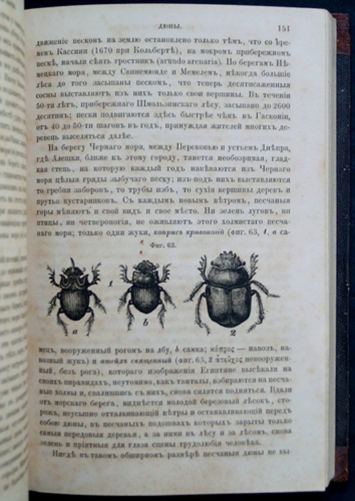Куторга С. Естественная история земной коры: с иллюстрациями и геологическими картами
