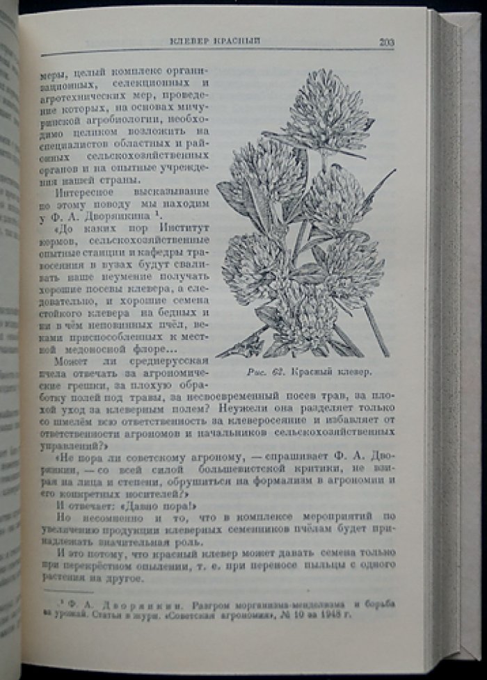 Важнейшие медоносные растения и способы их разведения: справочник по медоносному делу