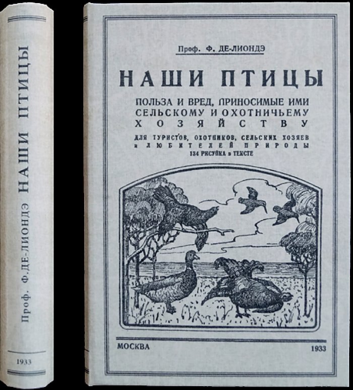 Наши птицы: польза и вред для сельского и охотничьего хозяйства
