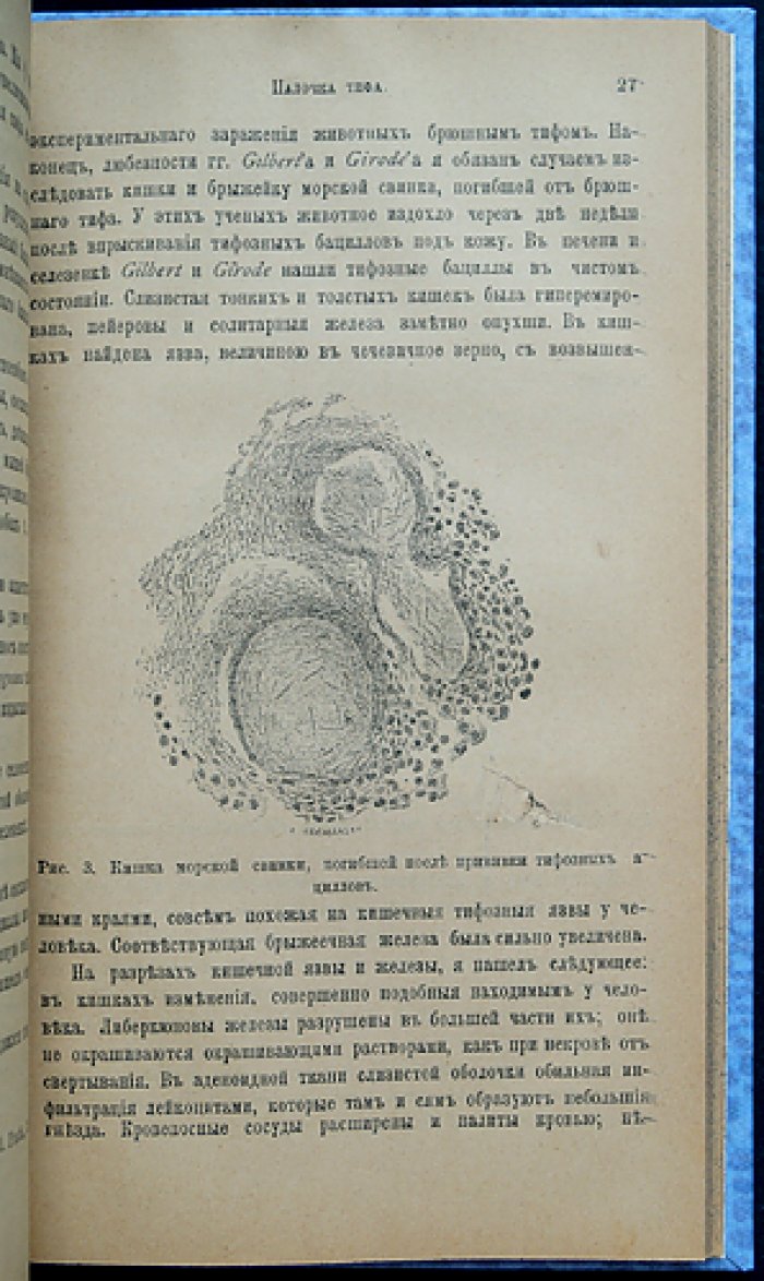 Шантмесс, А. Проф. Брюшной тиф: бактериология и противотифозная профилактика