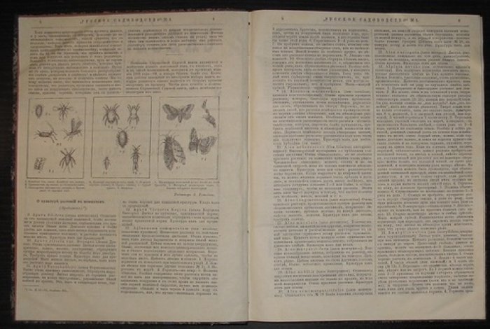 Русское садоводство: комплект еженедельной газеты за 1891 год (51 номер, с приложениями и указателями)