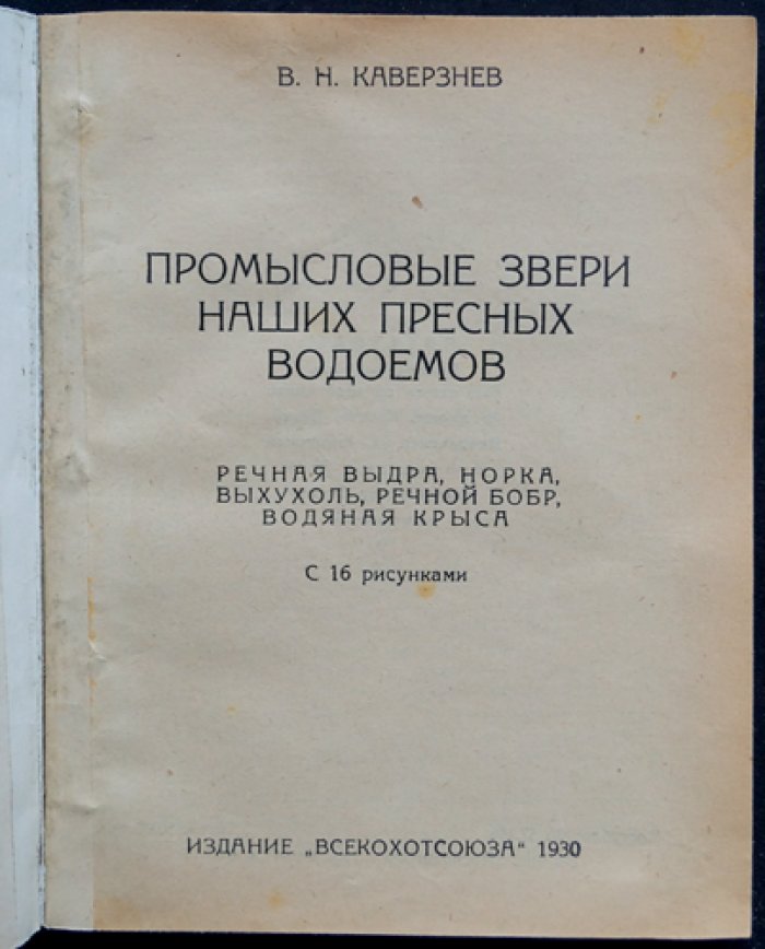 Промысловые звери пресных водоёмов СССР: речная выдра, норка, выхухоль, речной бобр, водяная крыса