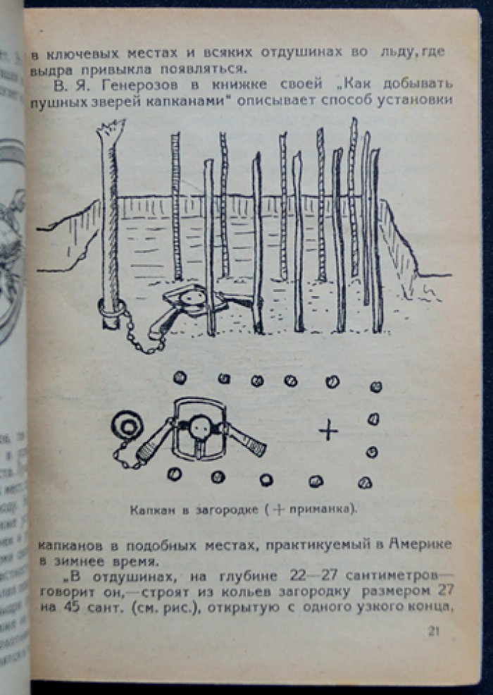 Промысловые звери пресных водоёмов СССР: речная выдра, норка, выхухоль, речной бобр, водяная крыса