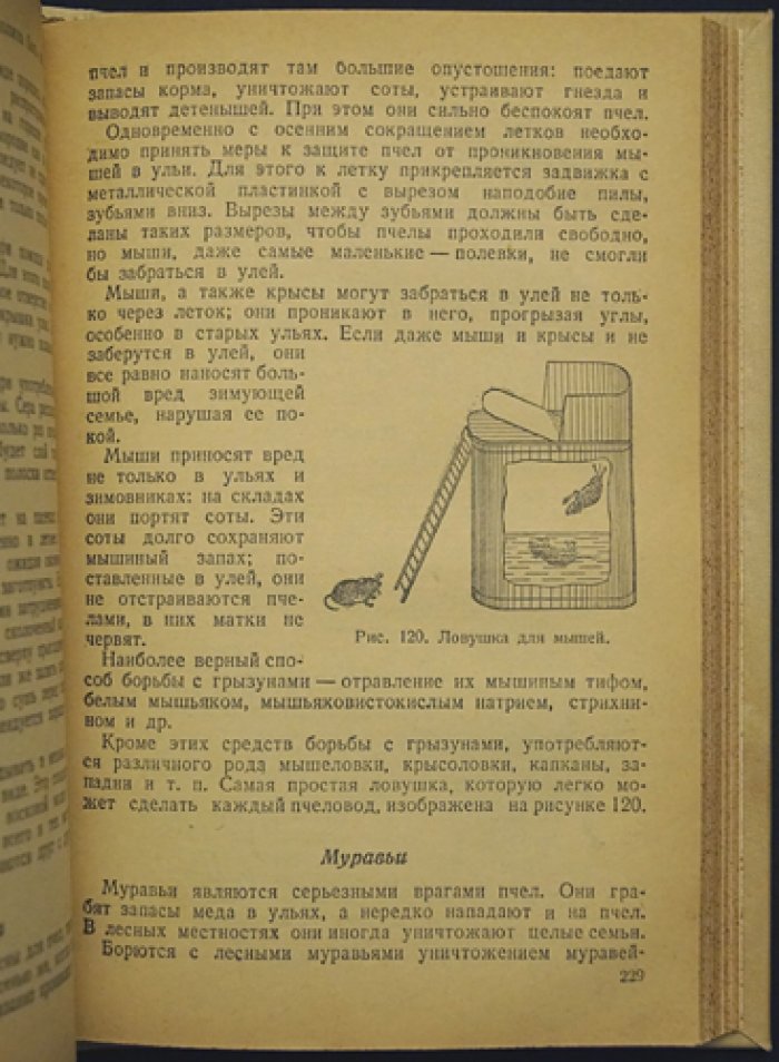Пчеловодство: практическое руководство по уходу за пчёлами в течение года (2-е дополненное издание)