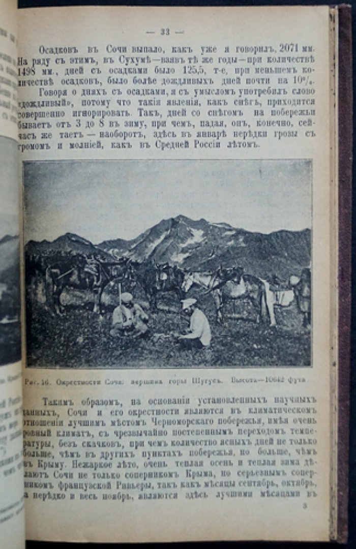 Природа и охота на Северо‑Западном и Западном Кавказе: научный обзор Черноморского побережья