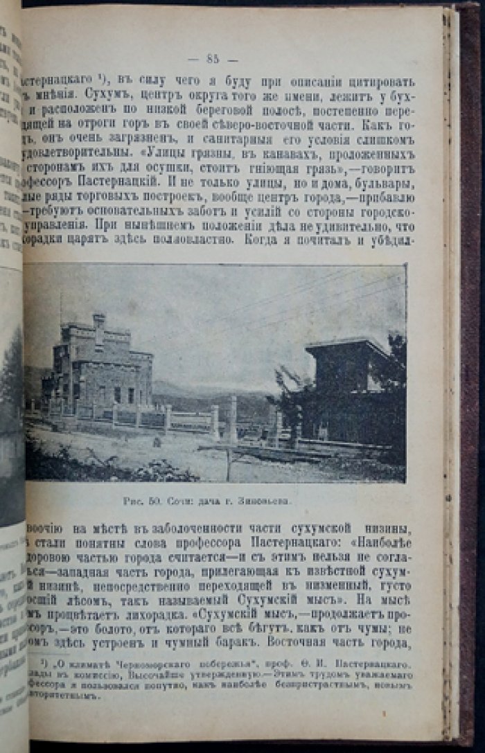 Природа и охота на Северо‑Западном и Западном Кавказе: научный обзор Черноморского побережья