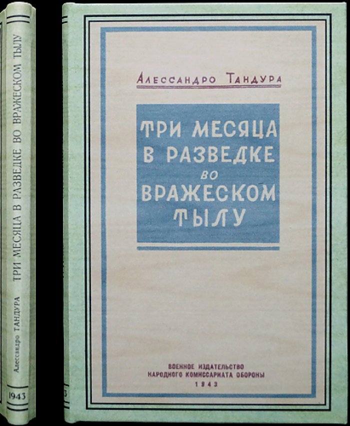 Тандура. Три месяца в разведке во вражеском тылу (дневник итальянского офицера-разведчика, 1918)