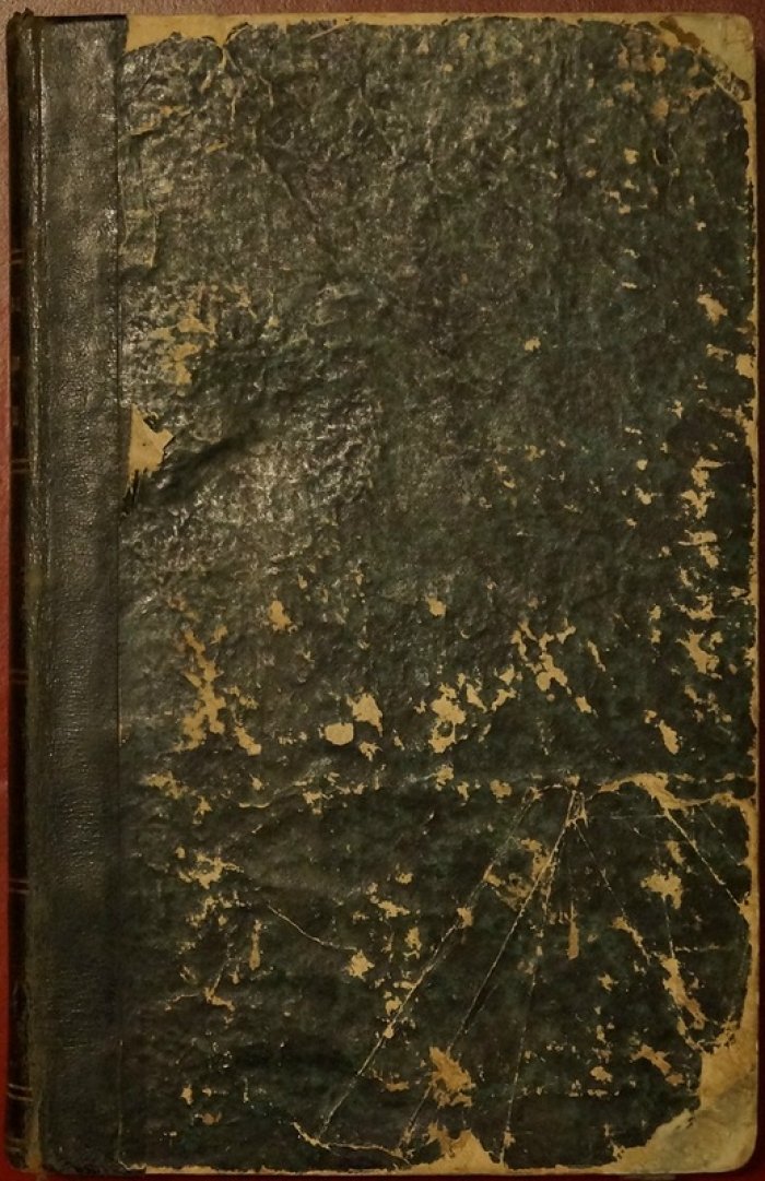 «Картины русской живописи» (1846) — редкое издание с гравюрами на отдельных листах
