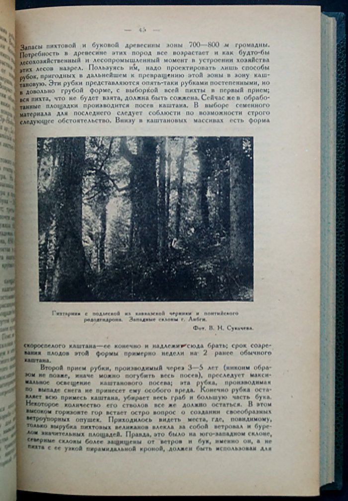 Труды Кавказской экспедиции. Часть 1: отчёты за 1929 год. Выпуск 14 (лесное хозяйство и лесная промышленность)