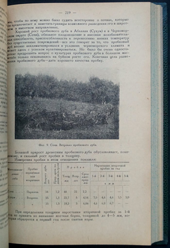 Труды Кавказской экспедиции. Часть 1: отчёты за 1929 год. Выпуск 14 (лесное хозяйство и лесная промышленность)