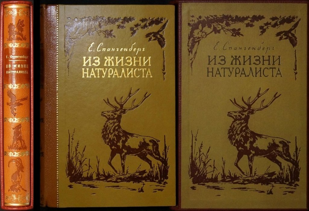 Из жизни натуралиста — книга о природе и наблюдениях (Е. П. Спангенберг, 1953)