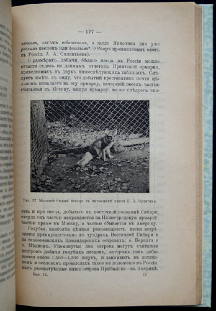 Промышленное разведение серебристо-черных лисиц и песцов в Северной Америке: отчет инспекционной командировки в Канаду (с практическими сведениями для лисоводства и пушного промысла)