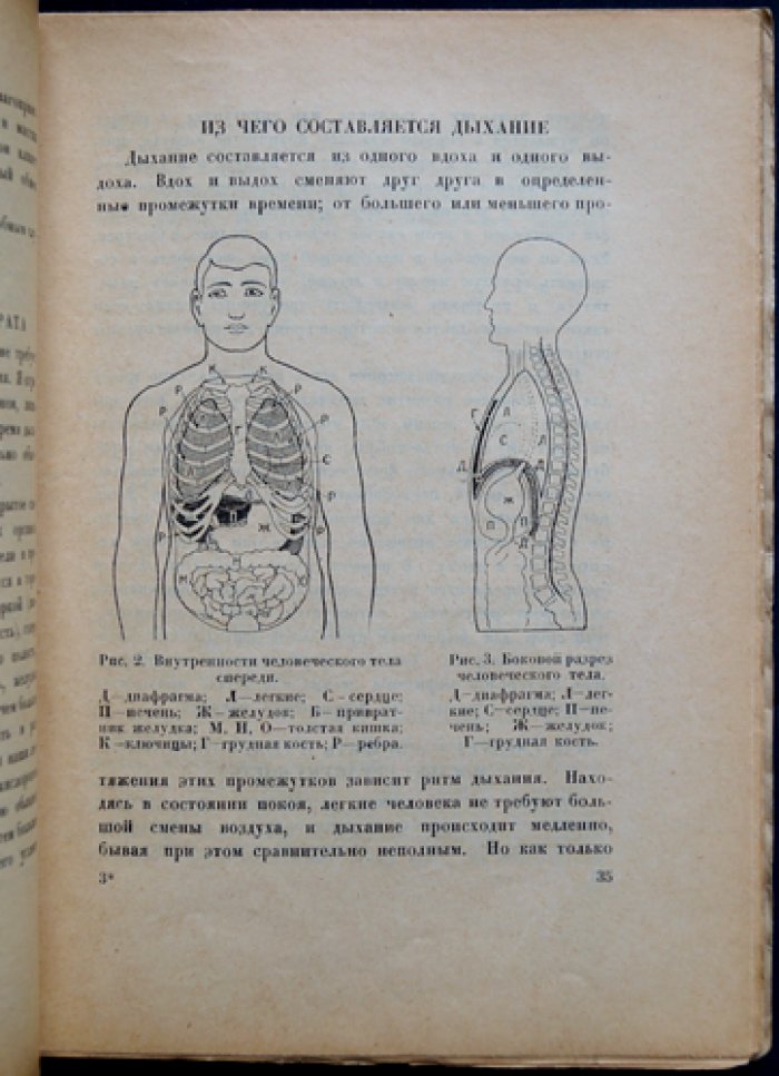 Моя система дыхательных упражнений (с рисунками)