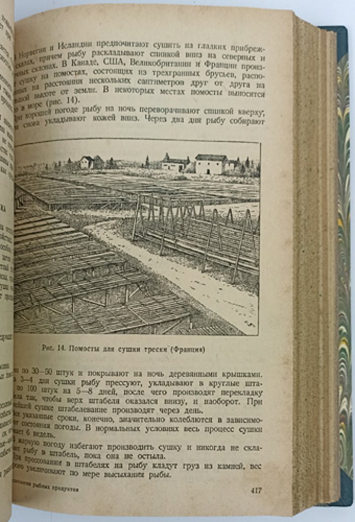 Технология рыбных продуктов: сырье, консервы, посол, икра, сушка, копчение, рыбная мука и жиры