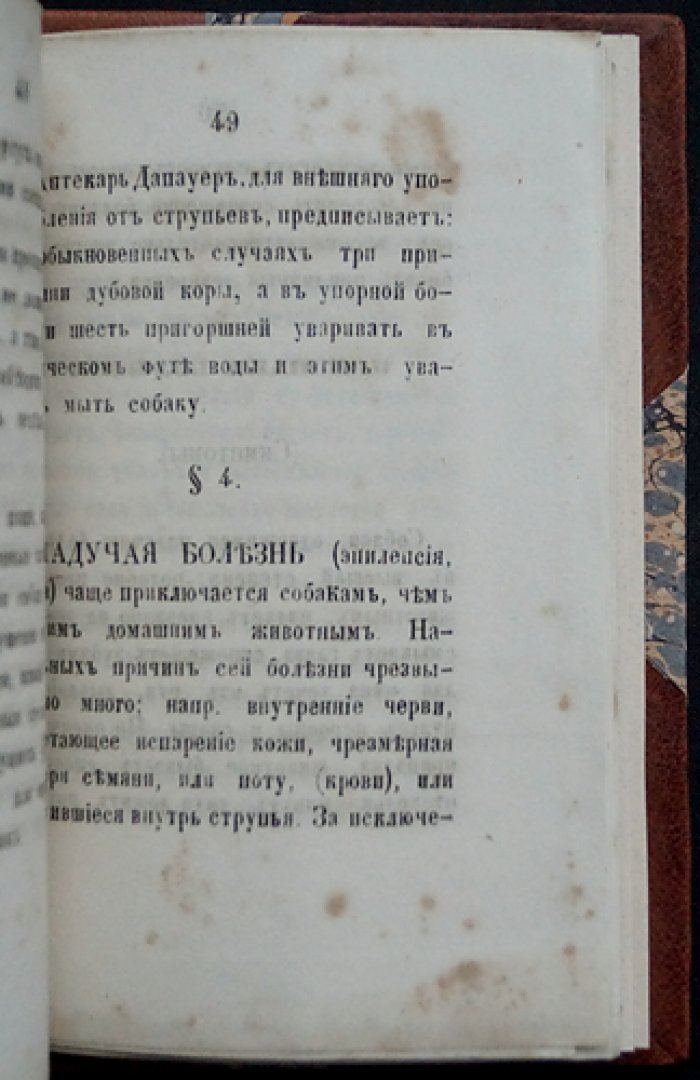Лечебник для собак: подробное и ясное описание их болезней и верные испытанные средства лечения (с рецептами лекарств)