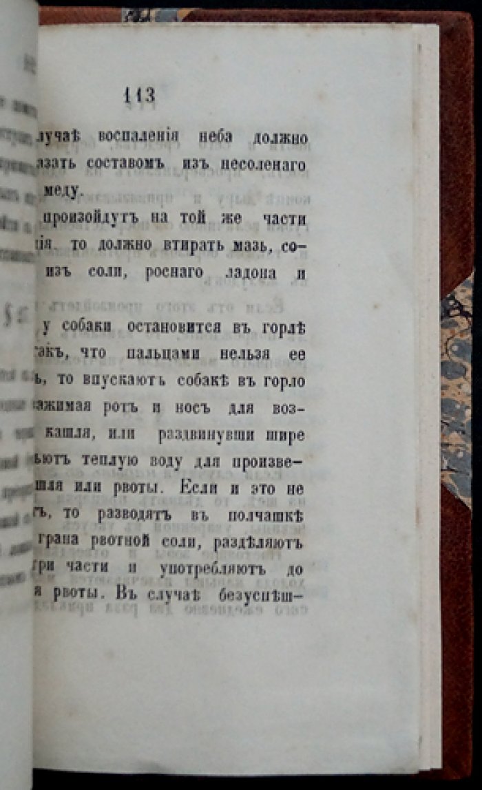 Лечебник для собак: подробное и ясное описание их болезней и верные испытанные средства лечения (с рецептами лекарств)