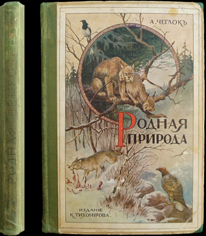 Чеглок. Родная природа. Птицы, звери и гады России. Выпуск 1 (16 рассказов из жизни животных)