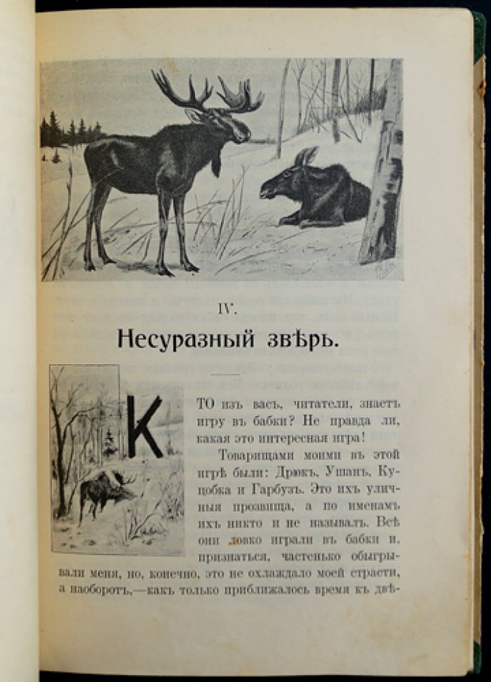 Чеглок. Родная природа. Птицы, звери и гады России. Выпуск 1 (16 рассказов из жизни животных)