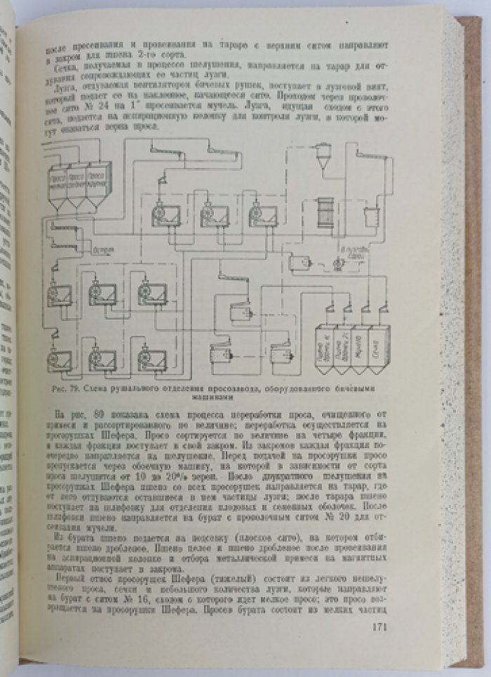 Технология крупяного производства: научные основы переработки зерна