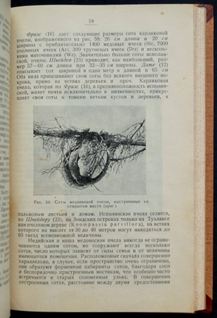 Энох Цандер. Жизнь пчелы и практическое пчеловодство (руководство)