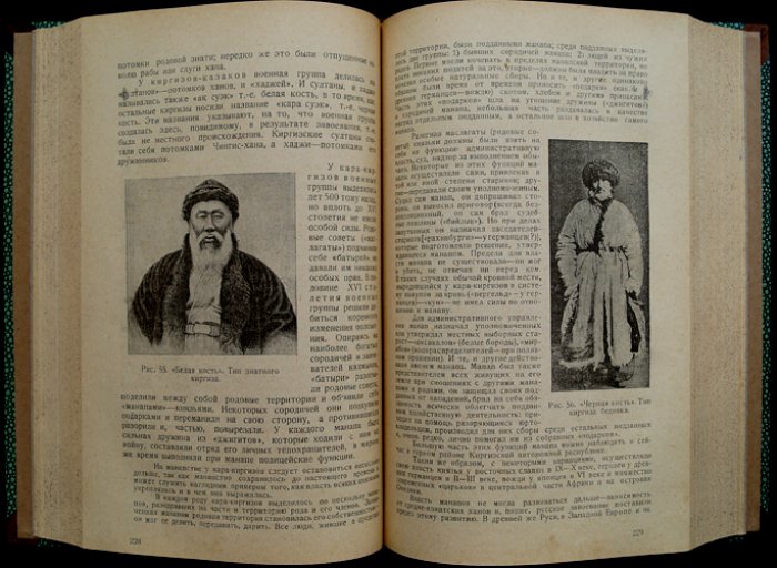 Очерк развития общественных форм: генетическая социология в до-капиталистическую эпоху