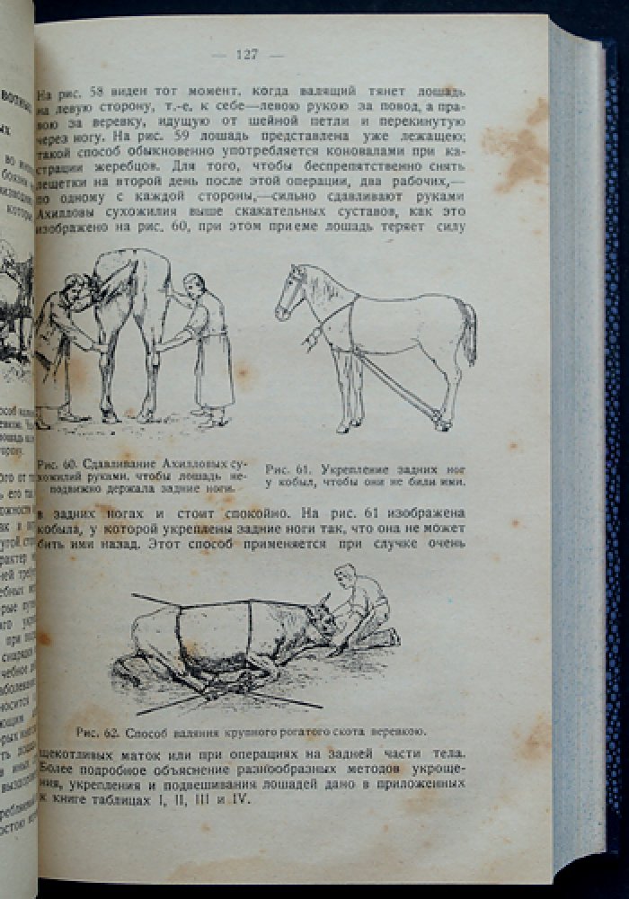 П. Г. Алтухов. Лечебник домашних животных и птиц: ветеринарный справочник с разбором заразных болезней