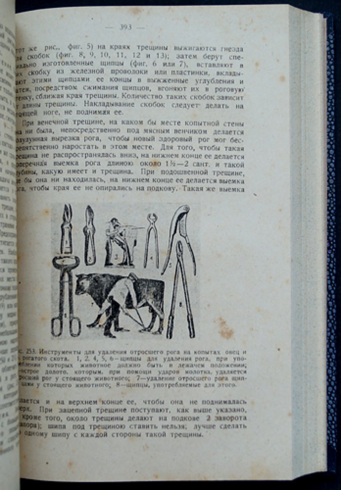 П. Г. Алтухов. Лечебник домашних животных и птиц: ветеринарный справочник с разбором заразных болезней
