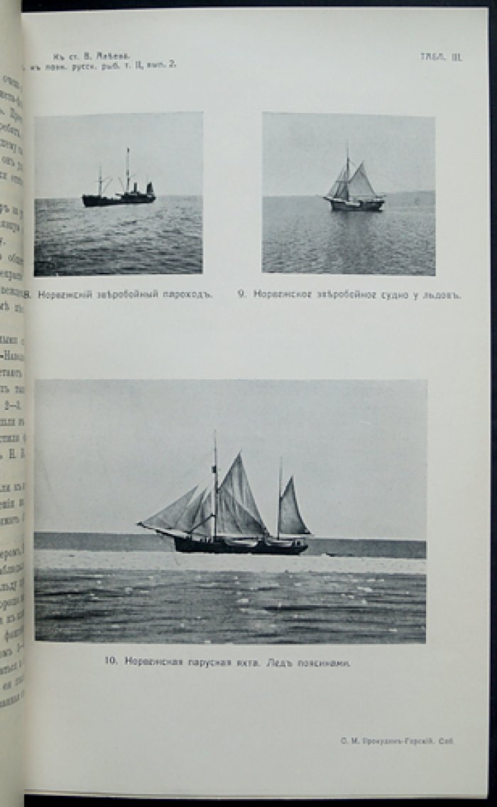 Материалы к познанию русского рыболовства. 1913. Том II, выпуск 2 (с фотоиллюстрациями и картой Белого моря)