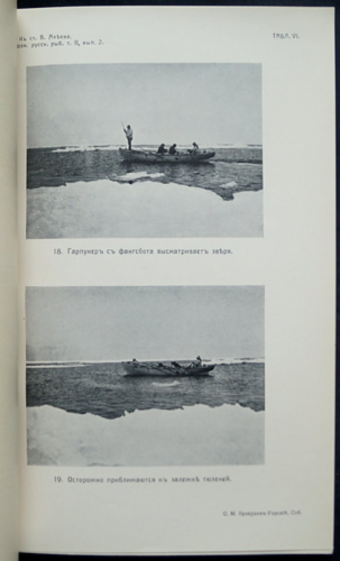 Материалы к познанию русского рыболовства. 1913. Том II, выпуск 2 (с фотоиллюстрациями и картой Белого моря)