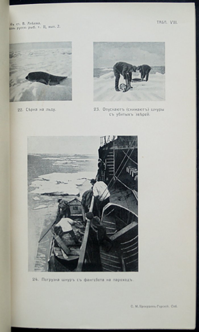 Материалы к познанию русского рыболовства. 1913. Том II, выпуск 2 (с фотоиллюстрациями и картой Белого моря)