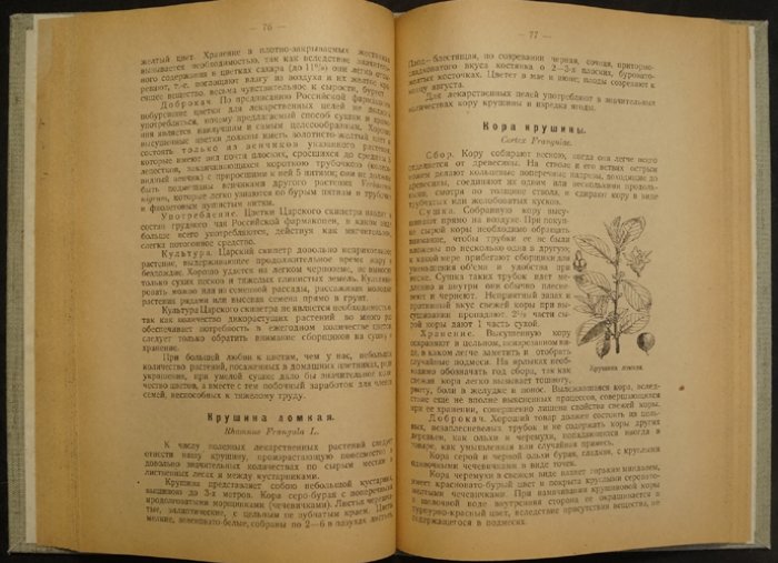 Пособие по сбору, культуре и применению лекарственных растений (А. К. Подгородецкий)