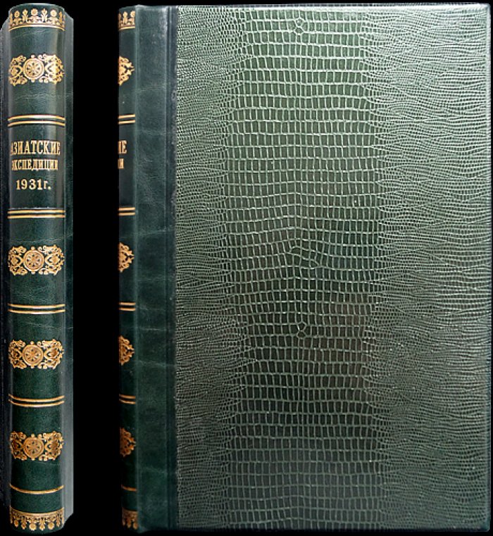Экспедиции Всесоюзной академии наук СССР. 1931 год. Отчёт и очерки по Амгунь–Селемджинской, Нижне-Амурской и другим экспедициям