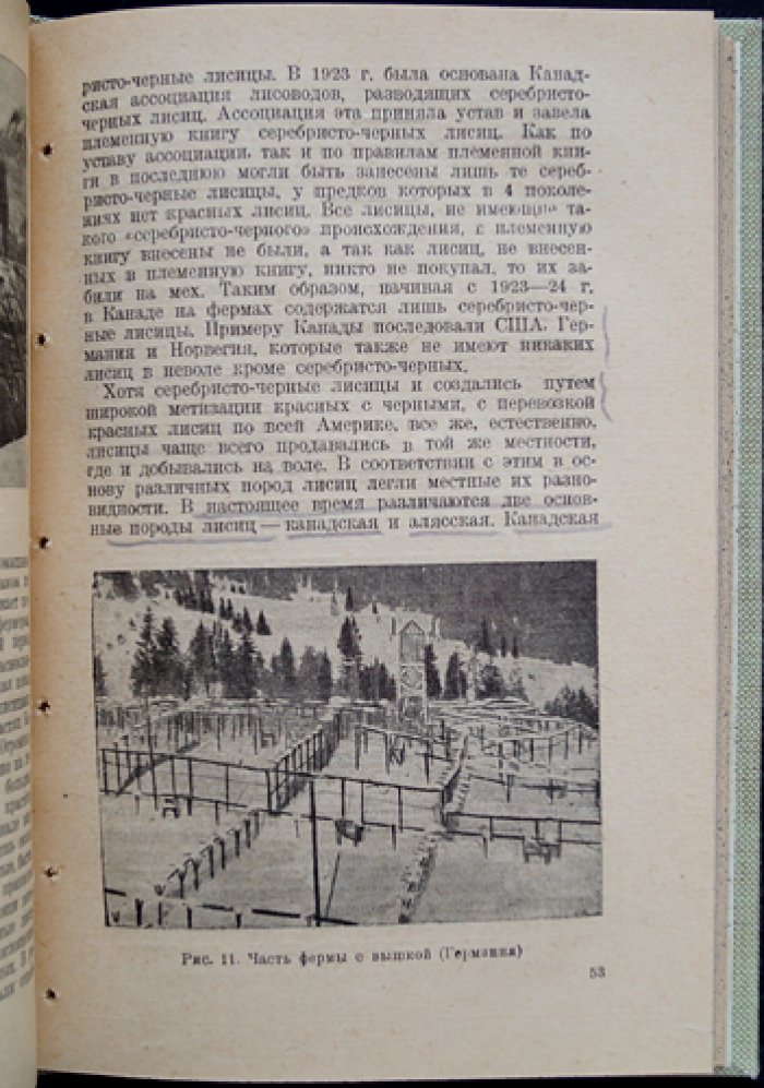 Звероводство за границей: опыт мировых практик пушного звероводства (обзор по литературным источникам)