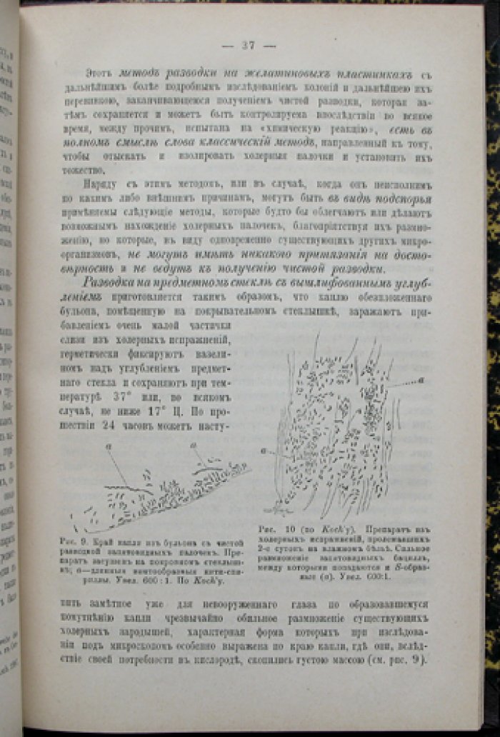 Азиатская холера: происхождение, сущность, профилактика и лечение (с историческим очерком и мерами санитарной защиты)