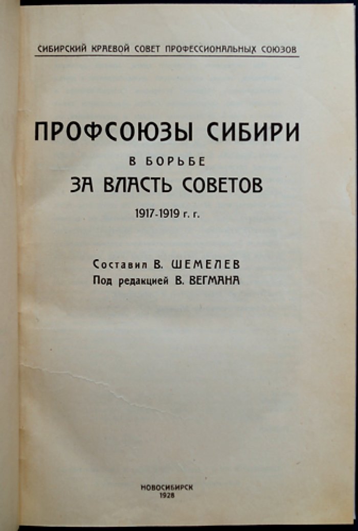Профсоюзы Сибири в борьбе за власть советов (1917–1919 гг.). Очерки и документы