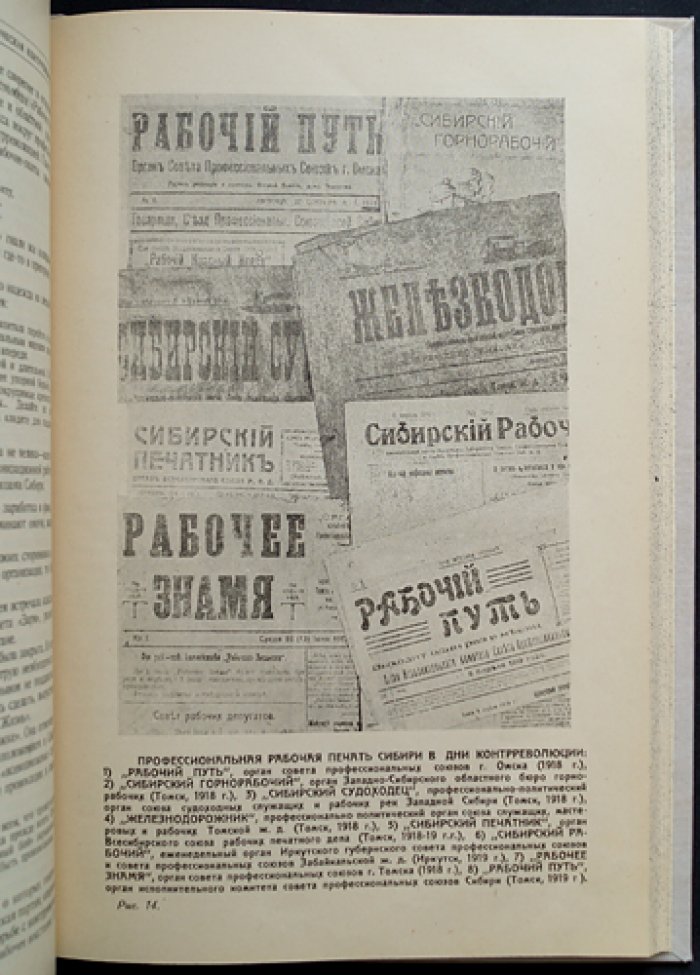 Профсоюзы Сибири в борьбе за власть советов (1917–1919 гг.). Очерки и документы