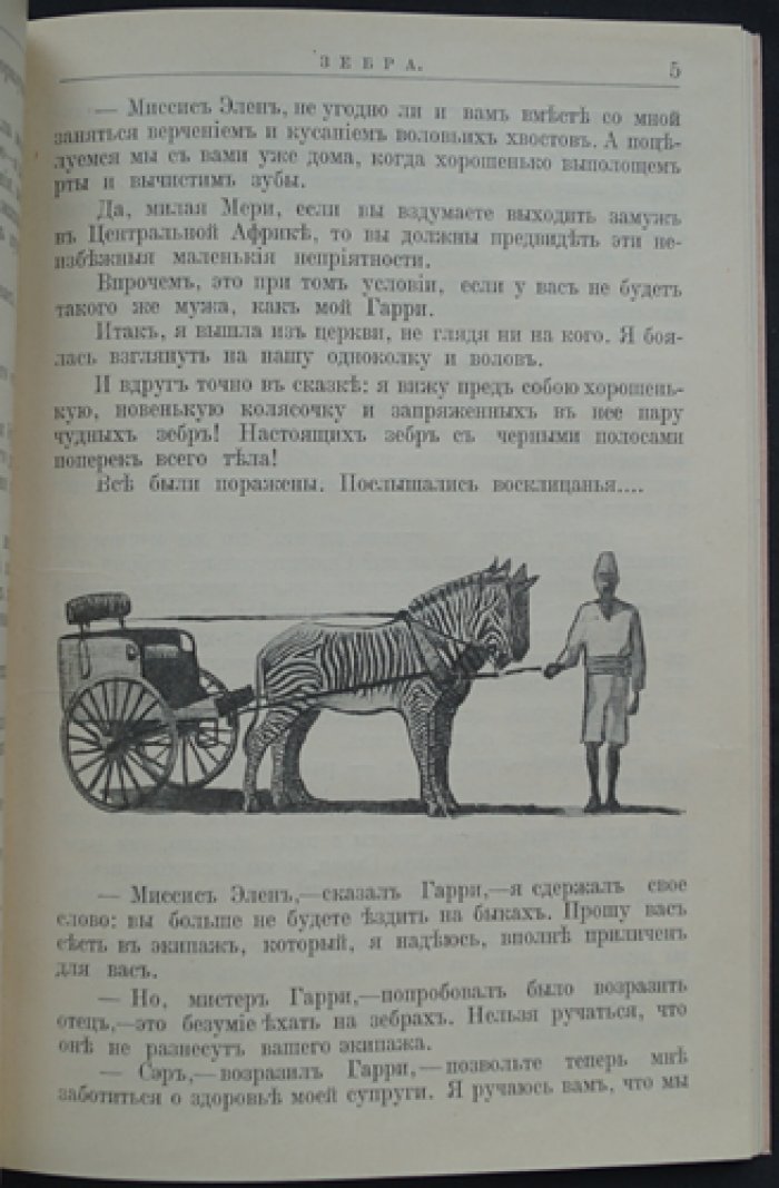 Мпунгу: о гориллах (детские рассказы и наблюдения о природе)