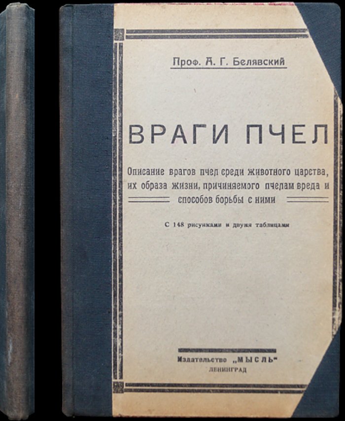 Проф. Враги пчёл: животные против пчеловодства (с рисунками и таблицами)