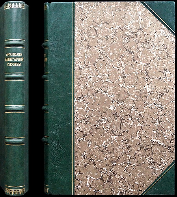Организация санитарной службы в главнейших европейских армиях (мирное время). Диссертация на степень доктора медицины