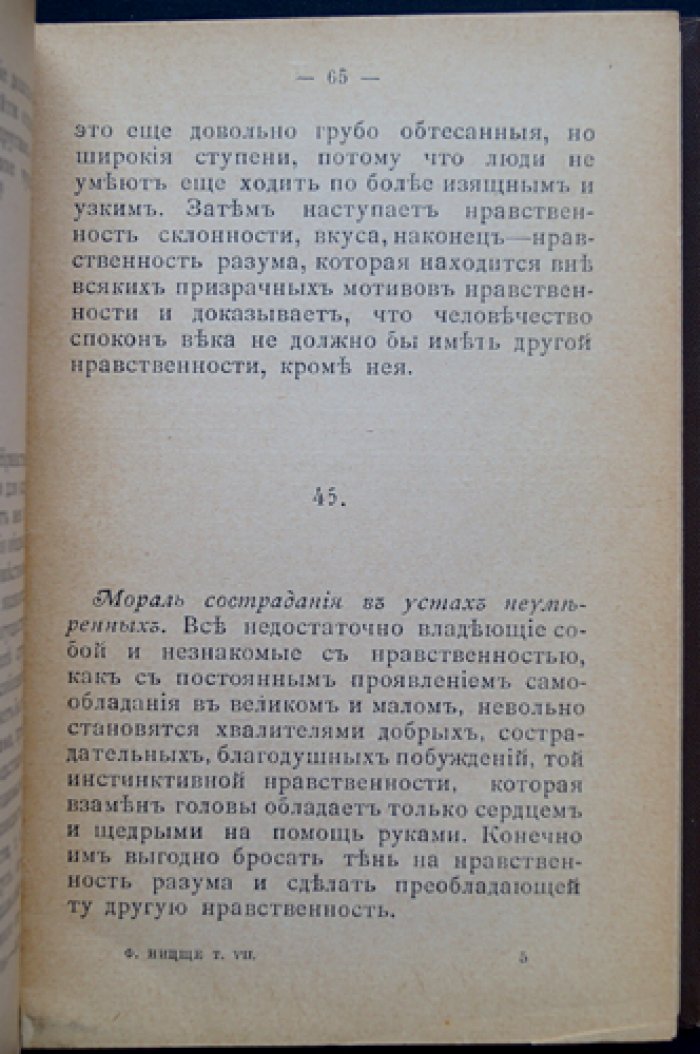 Ницше Ф. «Странник и его тень» — философские афоризмы (перевод с немецкого)