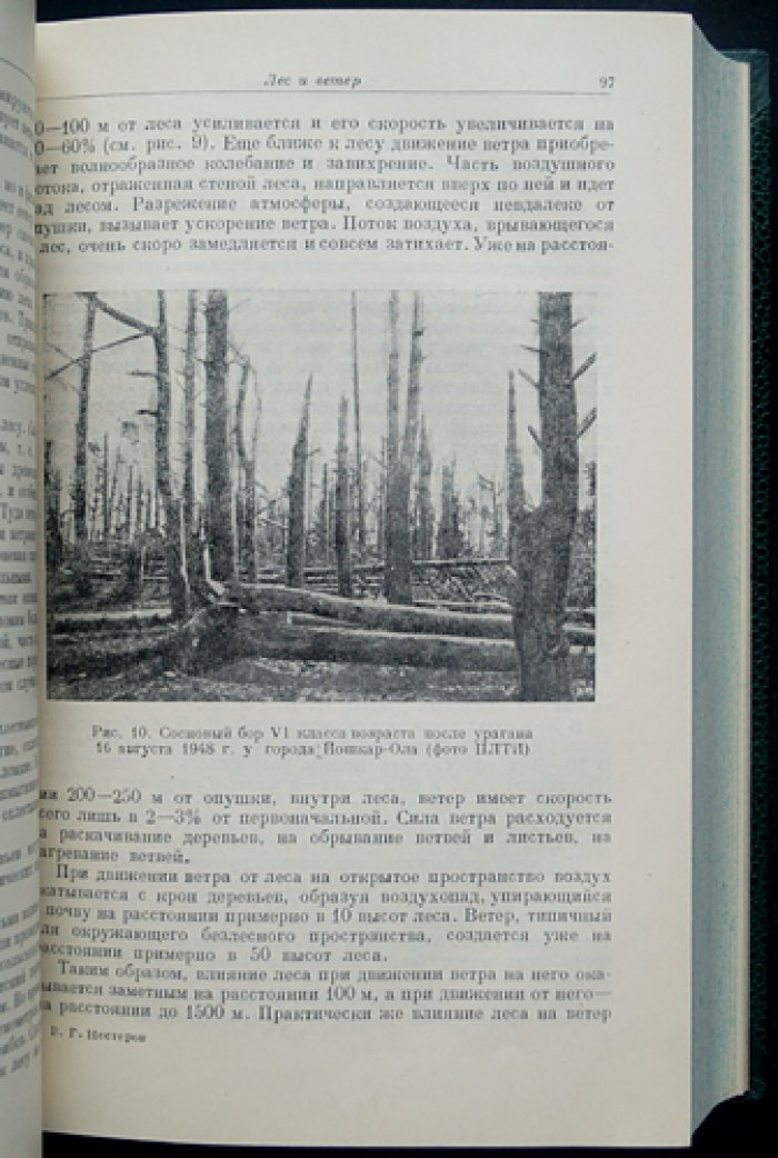 Общее лесоводство: биология леса, лесоведение и рубки главного/промежуточного пользования