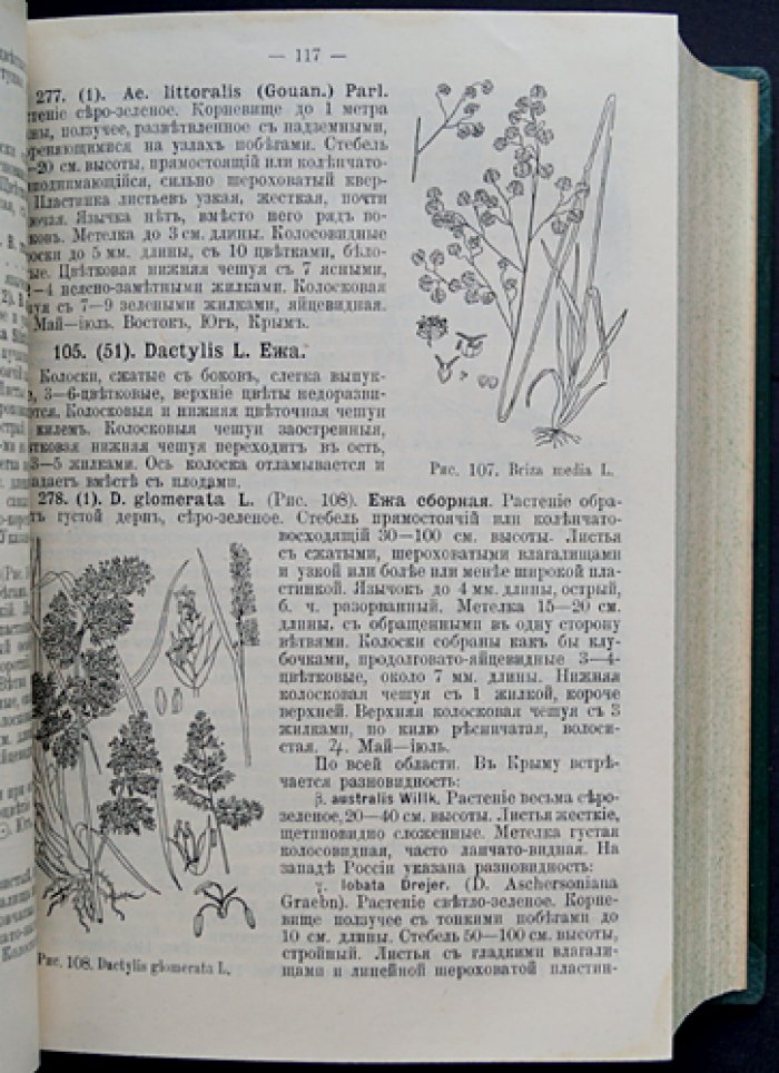 «Флора Европейской России» (в 3 частях). Иллюстрированный определитель дикорастущих растений Европейской России и Крыма