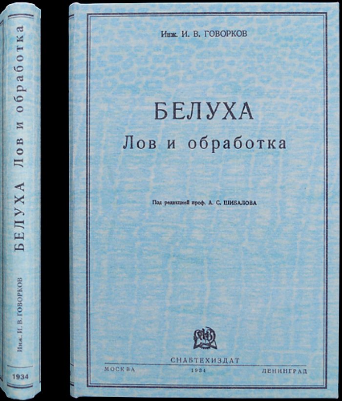 Белуха. Лов и обработка: практическое пособие