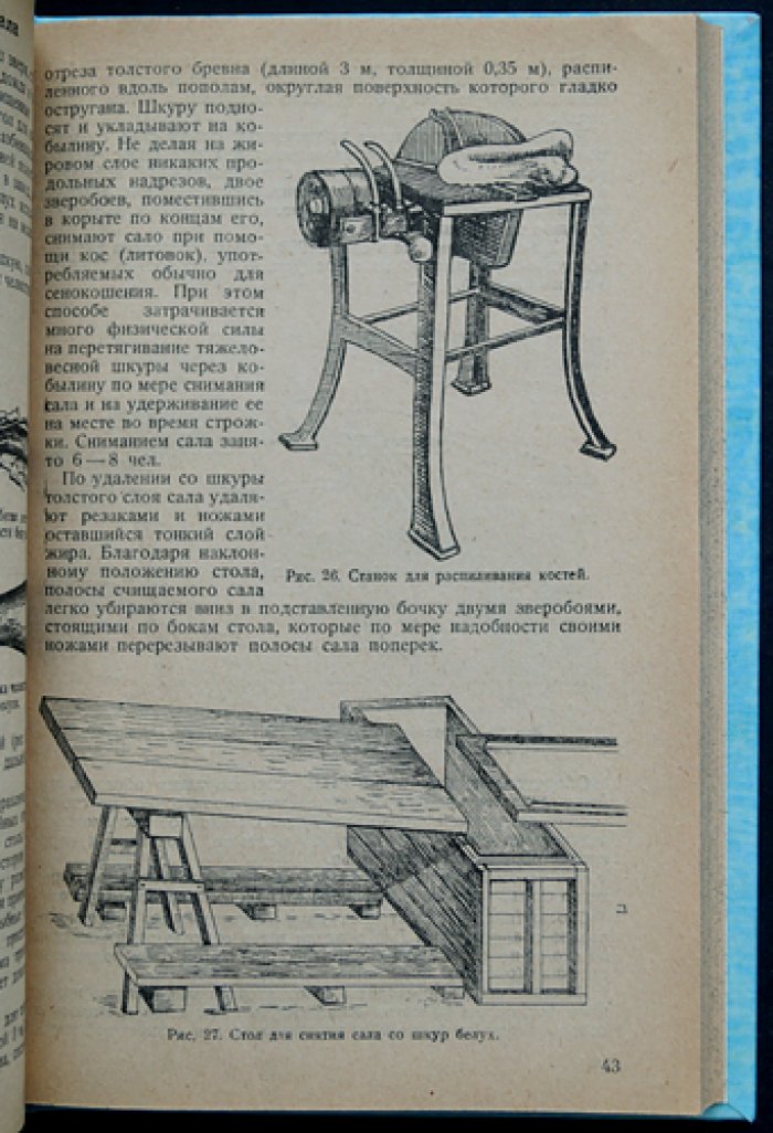 Белуха. Лов и обработка: практическое пособие
