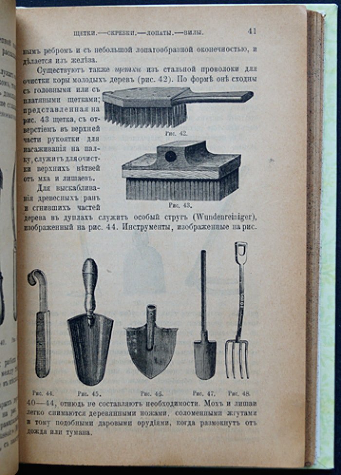 Плодовая школа и плодовый сад. Руководство по культуре плодовых деревьев для южной половины России (изд. пятое, исправленное и дополненное)