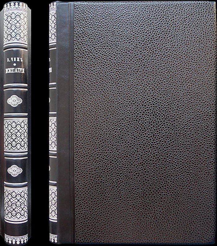 Учебник психиатрии. В. Ф. Чиж
