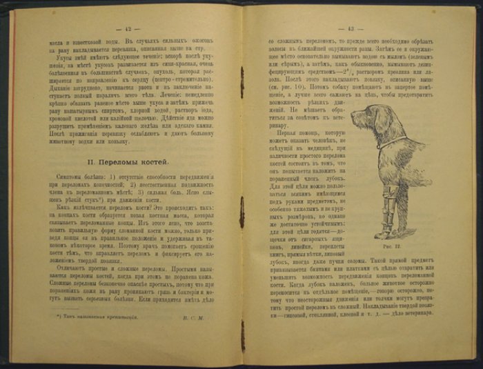 Больная собака: анатомия, болезни и лечение собак (перевод с немецкого)