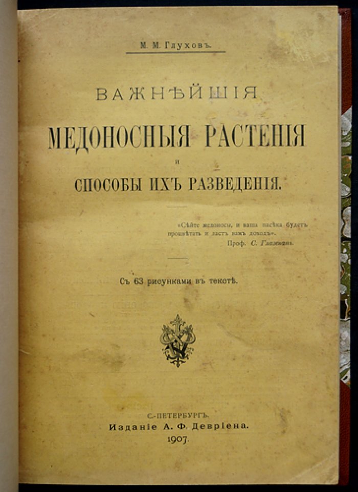 Важнейшие медоносные растения и способы их разведения (описания, медопродуктивность и условия выращивания)