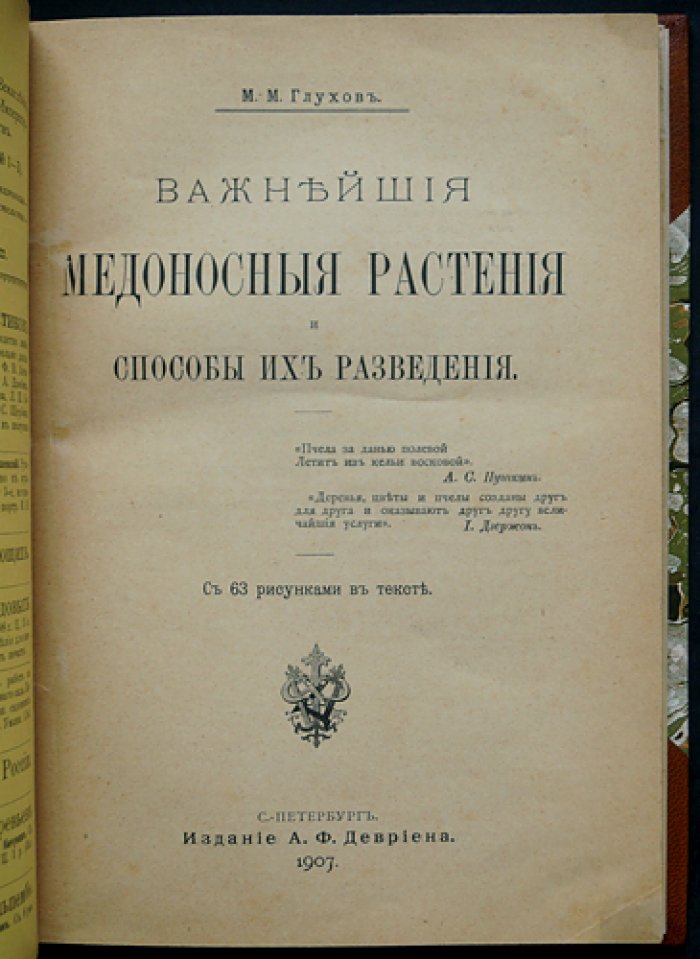 Важнейшие медоносные растения и способы их разведения (описания, медопродуктивность и условия выращивания)